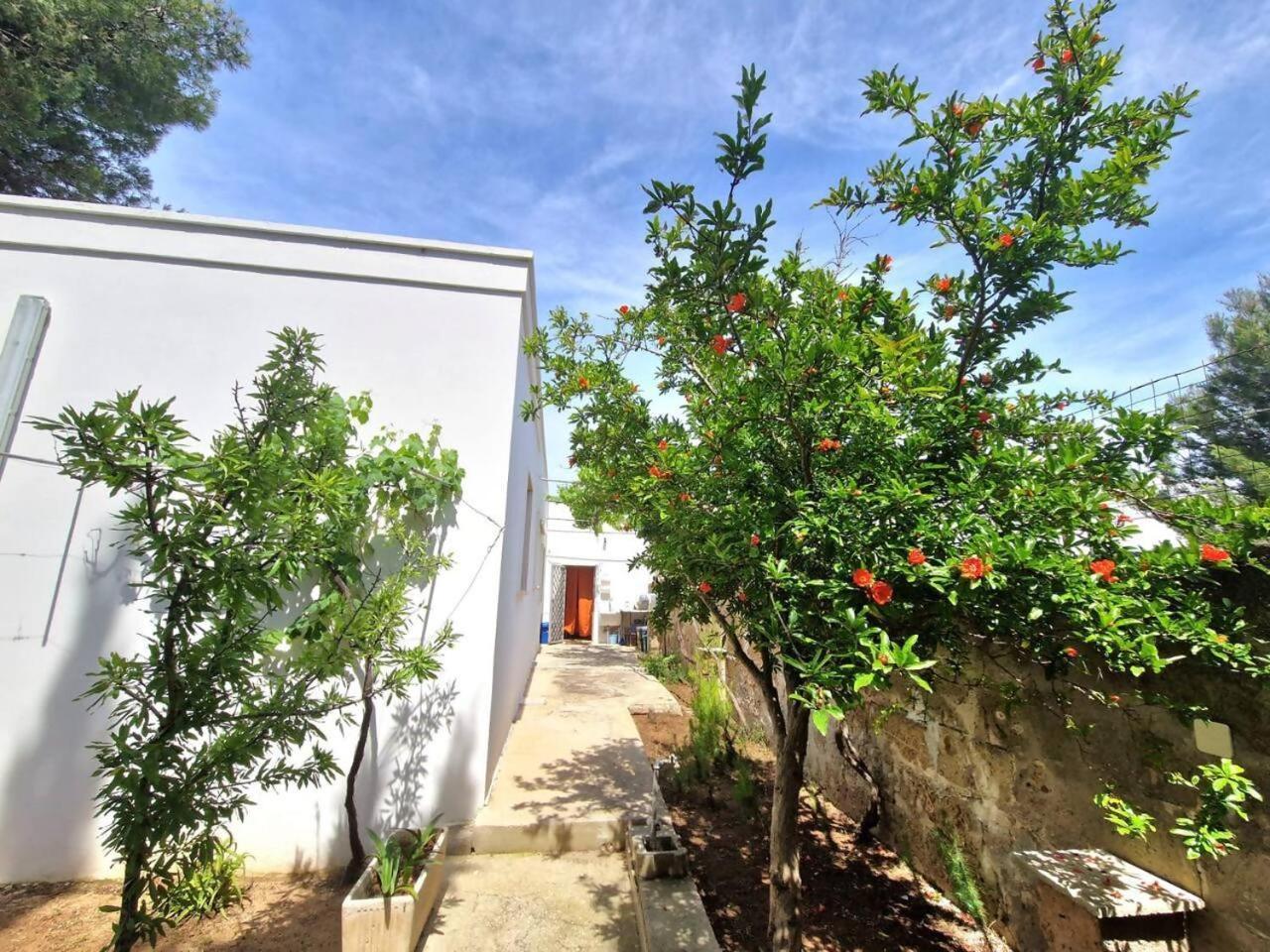 Villa Turchese Santisidoro Nordsudcasavacanza Torre Squillace Exterior photo